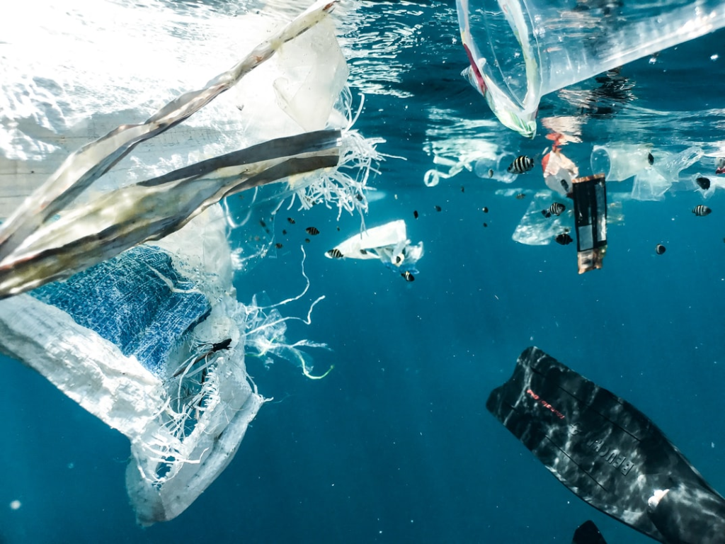 plastic endangering marine life