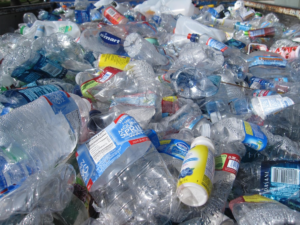 Plastic bottles in a landfill.